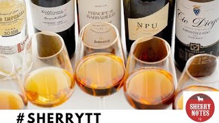 Whats Amontillado Sherry Live Tasting Stream amp Twitter Tasting [upl. by Alikahs950]