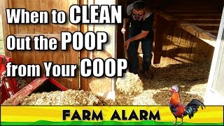 How to clean a Chicken Coop  When Why and How Often [upl. by Mercer260]