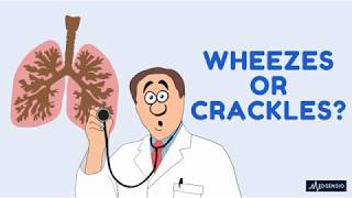 wheezes or crackles [upl. by Herman]