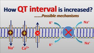 Increase in QT interval  Possible mechanisms [upl. by Ariadne510]