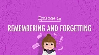 Remembering and Forgetting Crash Course Psychology 14 [upl. by Annal]