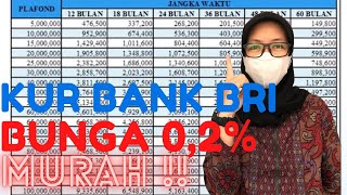 CARA MENGAJUKAN PINJAMAN KUR DI BANK BRI 2021 [upl. by Chilt]