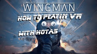 Project Wingman How to Play in VR and with a HOTAS [upl. by Garretson426]