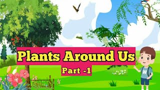 Plants Around Us  Types of a plants  Parts of a plants  Grade 1  ICSE  CBSE  Part  1 [upl. by Revorg]