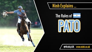 The Rules of Pato Horseball  EXPLAINED [upl. by Wimsatt]