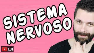 SISTEMA NERVOSO  FISIOLOGIA  Aula  Biologia com Samuel Cunha [upl. by Rori301]