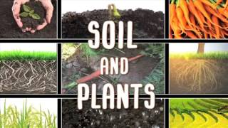 All About soil [upl. by Chastain]