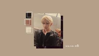 1시간 1 HOUR LOOP Stray Kids quot神메뉴quot Gods Menu [upl. by Alys]