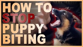 How to Easily Teach Your Puppy To STOP Biting You [upl. by Nereids626]