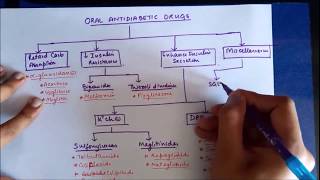 Drugs for Diabetes Part 2  Oral Antidiabetics classification and introduction to Insulin [upl. by Jarret781]