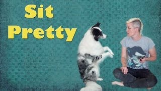 Teach Sit Pretty [upl. by Montagu]