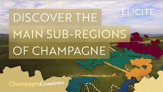 The SubRegions Of The Champagne Wine Region In France [upl. by Pavla]