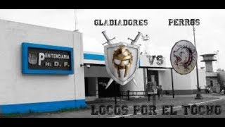 GLADIADORES VS PERROS desde Santa Martha Acatitla [upl. by Carlen]