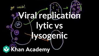 Viral replication lytic vs lysogenic  Cells  MCAT  Khan Academy [upl. by Gerger]