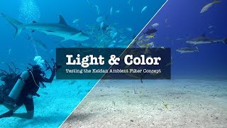 HOW TO GET THE COLOR RIGHT WHEN FILMING UNDER WATER [upl. by Colby]