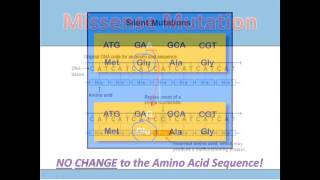 Substitution Mutations [upl. by Arimihc]