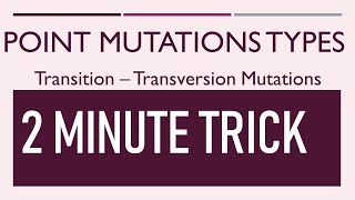 Types of Point Mutation II Transversion Transition  Neutral silent and missense mutation [upl. by Ruckman]