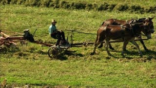 Pennsylvanias Amish Country [upl. by Egedan]