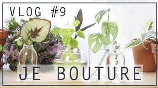 🌱 Vlog bouturage  je bouture mes plantes dintérieur   Vlog 8 [upl. by Akiehs325]