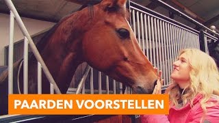 Paarden voorstellen  PaardenpraatTV [upl. by Aeiram190]