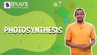 Photosynthesis How Plants Make Food  Learn with BYJU’S [upl. by Ehtnax622]