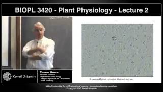 BIOPL3420  Plant Physiology  Lecture 2 [upl. by Eceerahs753]