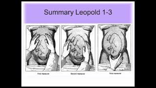 DAROGA Essential Clinical skills blood pressure fundal height part 1 examination abdomen [upl. by Castorina]