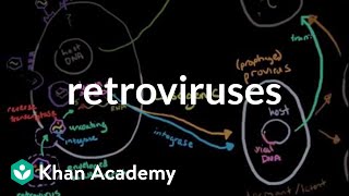 Retroviruses  Cells  MCAT  Khan Academy [upl. by Ecinehs477]