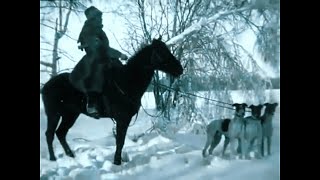 Russian Hunting Dog vs Wolf Borzoi Russian Wolfhound 1910 Documentary [upl. by Tyree]