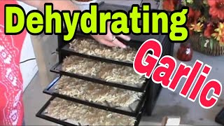 Dehydrating Garlic is easy to do [upl. by Yelnik]