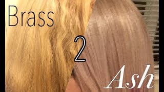 Toning Hair For Beginners  Wella Toner [upl. by Anawahs476]