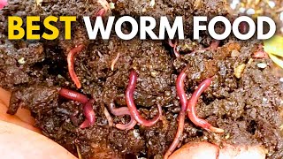 Wiggling Worms at Work  Read Aloud [upl. by Halbert197]