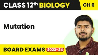 Mutation  Molecular Basis of Inheritance  Class 12 Biology 202223 [upl. by Janka805]