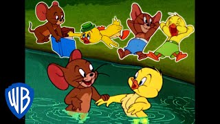 Tom amp Jerry  Best of Jerry and Little Quacker  Classic Cartoon Compilation  WB Kids [upl. by Notsej]