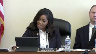 Ranking Member Jasmine Crockett delivers opening remarks [upl. by Ancell]