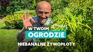 Niebanalne rośliny na żywopłot W Twoim ogrodzie [upl. by Chickie]