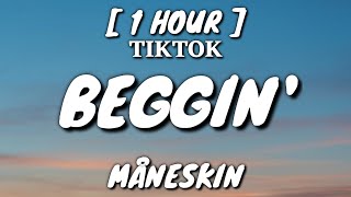 Måneskin  Beggin Lyrics 1 Hour Loop TikTok Song [upl. by Thekla]