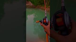 Abu garcia max4 stx [upl. by Garvy]