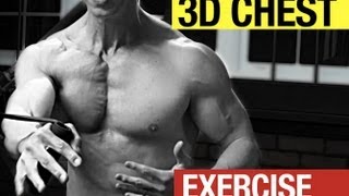 CRAZY Chest Exercise  How to Build a Ripped Defined Chest [upl. by Conlee347]