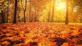 Autumn Days – Primary School Hymn [upl. by Oliric]