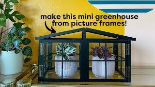 How to DIY A Mini GreenhouseFrom Picture Frames  DIY Mini Greenhouse [upl. by Philbrook34]