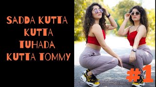 Sadda kutta kutta tuhada kutta tommy tik tok videos  sada kutta kutta tuhada kutta tommy reels [upl. by Lacim]