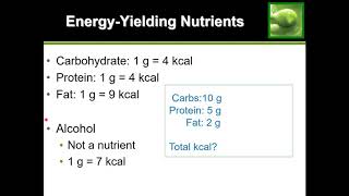 Easy Guide How to Calculate Calories [upl. by Etiuqal]