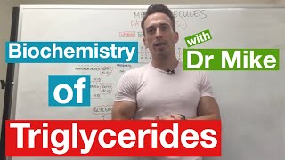 Fatty Acids Glycerol and Lipids  Biochemistry [upl. by Asihtal466]