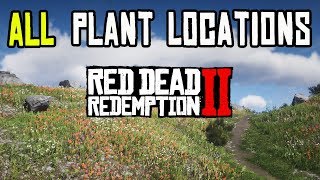 Red Dead Redemption 2  ALL 43 PLANTS amp HERBS LOCATIONS [upl. by Brote879]