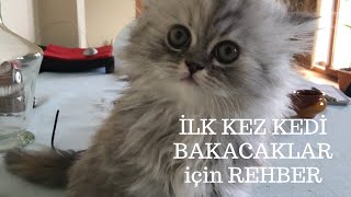 İlk kez kedi sahiplenecekler için detaylı kedi bakımı kılavuzu [upl. by Kassel]