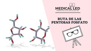 RUTA DE LAS PENTOSAS FOSFATO Fase Oxidativa [upl. by Ylram758]