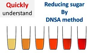 Reducing sugar by DNS method  3 5 Dinitrosalicylic acid DNSA method [upl. by Frum]