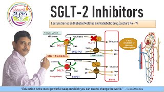 Sodiumglucose cotransporter2 SGLT2 inhibitors SGLT2Inhibotor AntidiabeticDrug [upl. by Asirret]