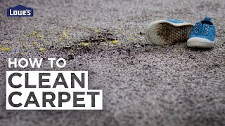 How to Clean Carpet [upl. by Harim]